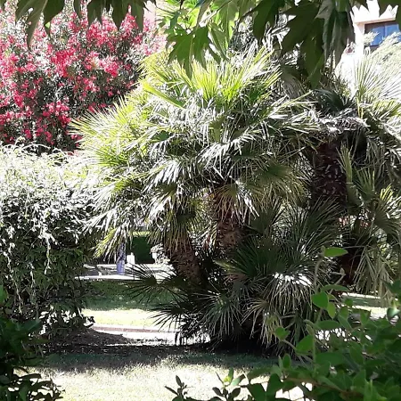 Appartement Frejus Apartment *