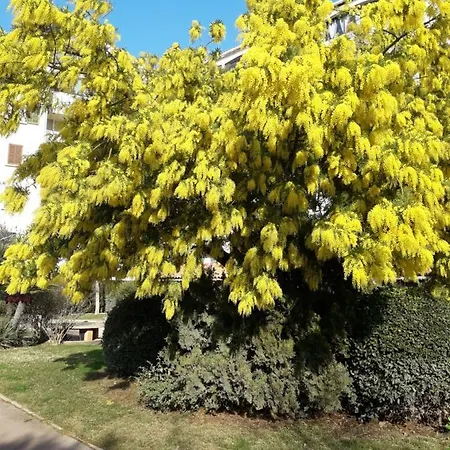 Appartement Frejus * Frejus